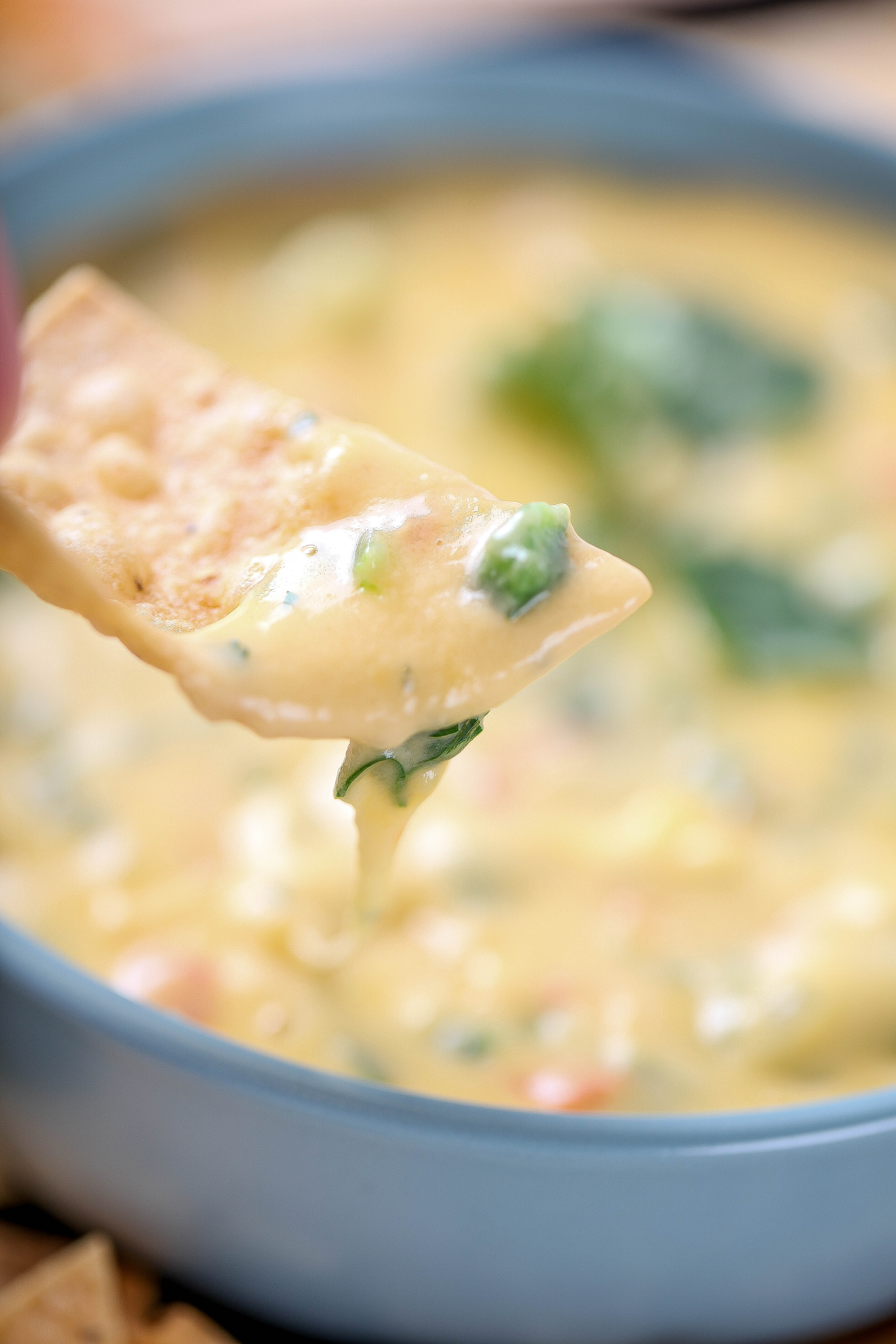 Chile Con Queso Dip Baking Beauty