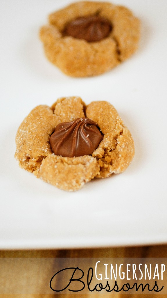 Blossoming Gingersnap Cookies