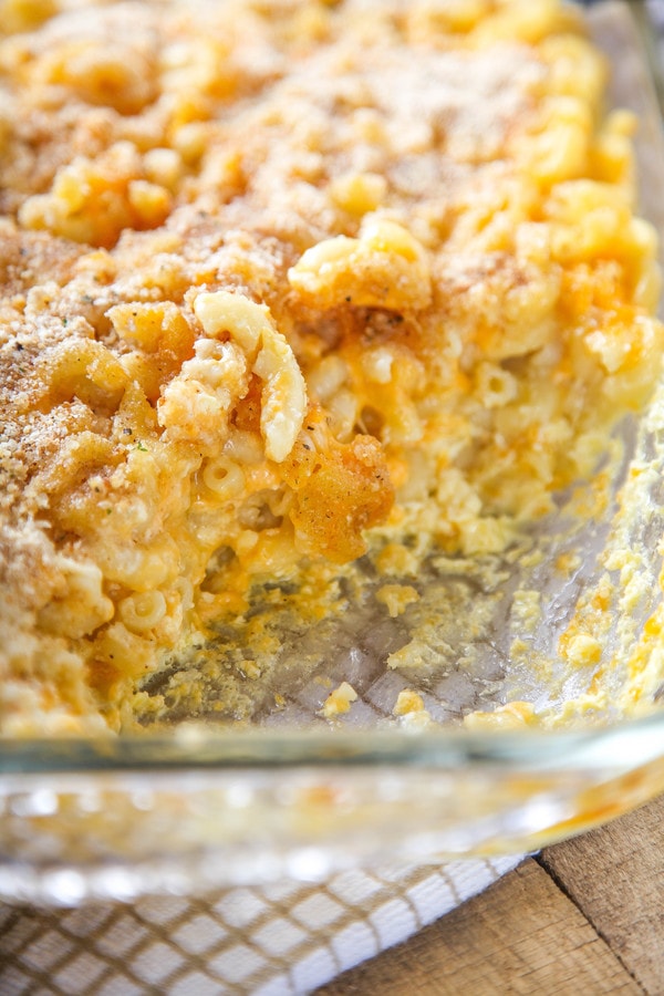 a closeup of mac and cheese with egg topped with browned cheese and bread crumbs. 