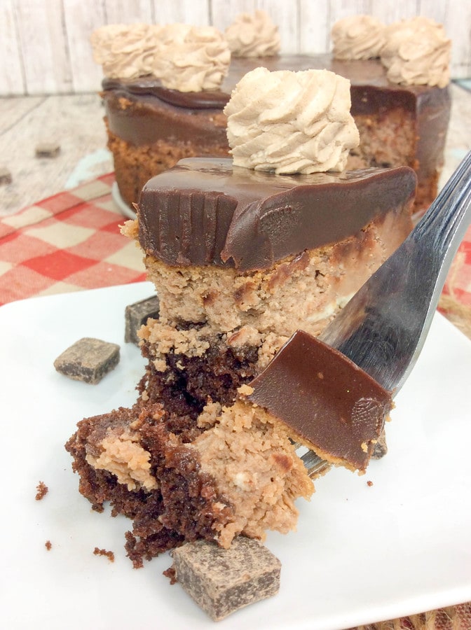 a fork cutting into a slice of nutella cheesecake with a chocolate cake base and chocolate ganache.