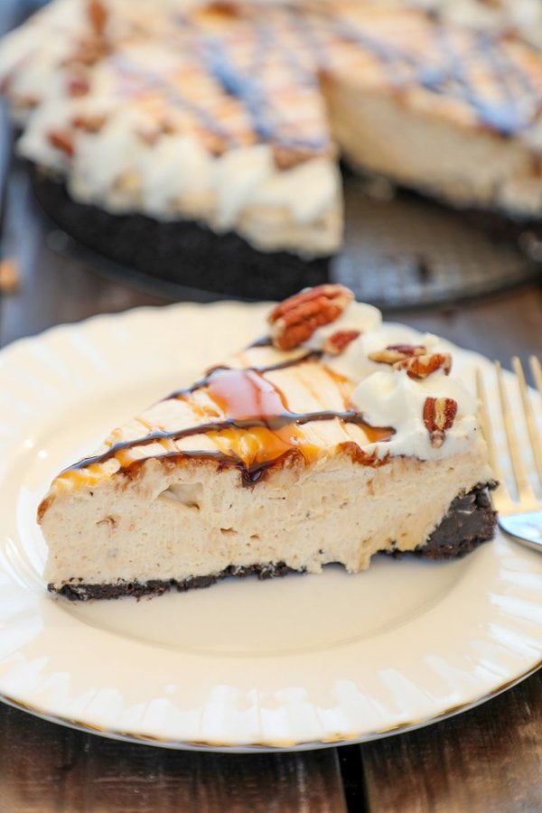 Turtle Pie