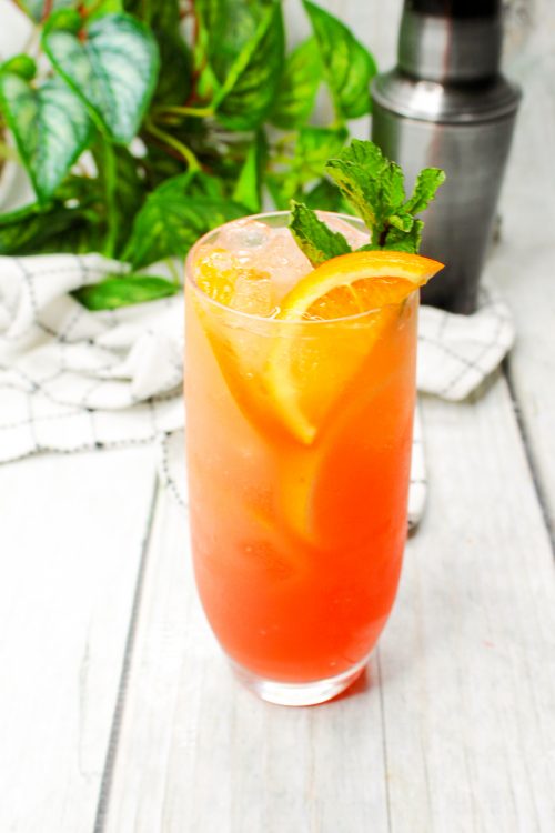 a gin and grenadine cocktail garnished with an orange slice and fresh mint.