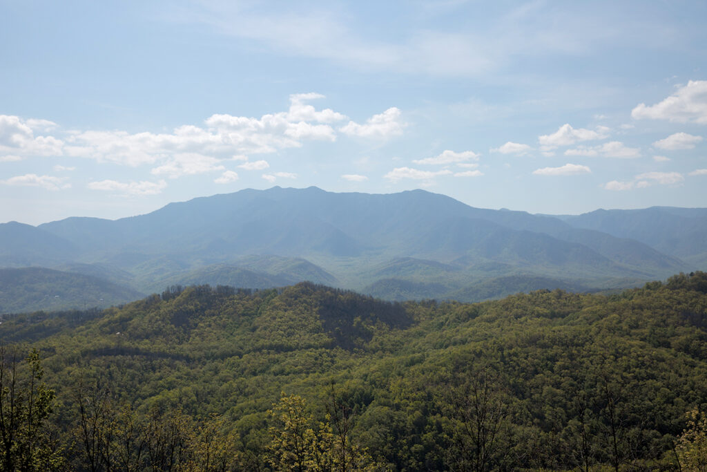 the smoky mountains with sky and cloud sin the background, and trees in the foreground. 