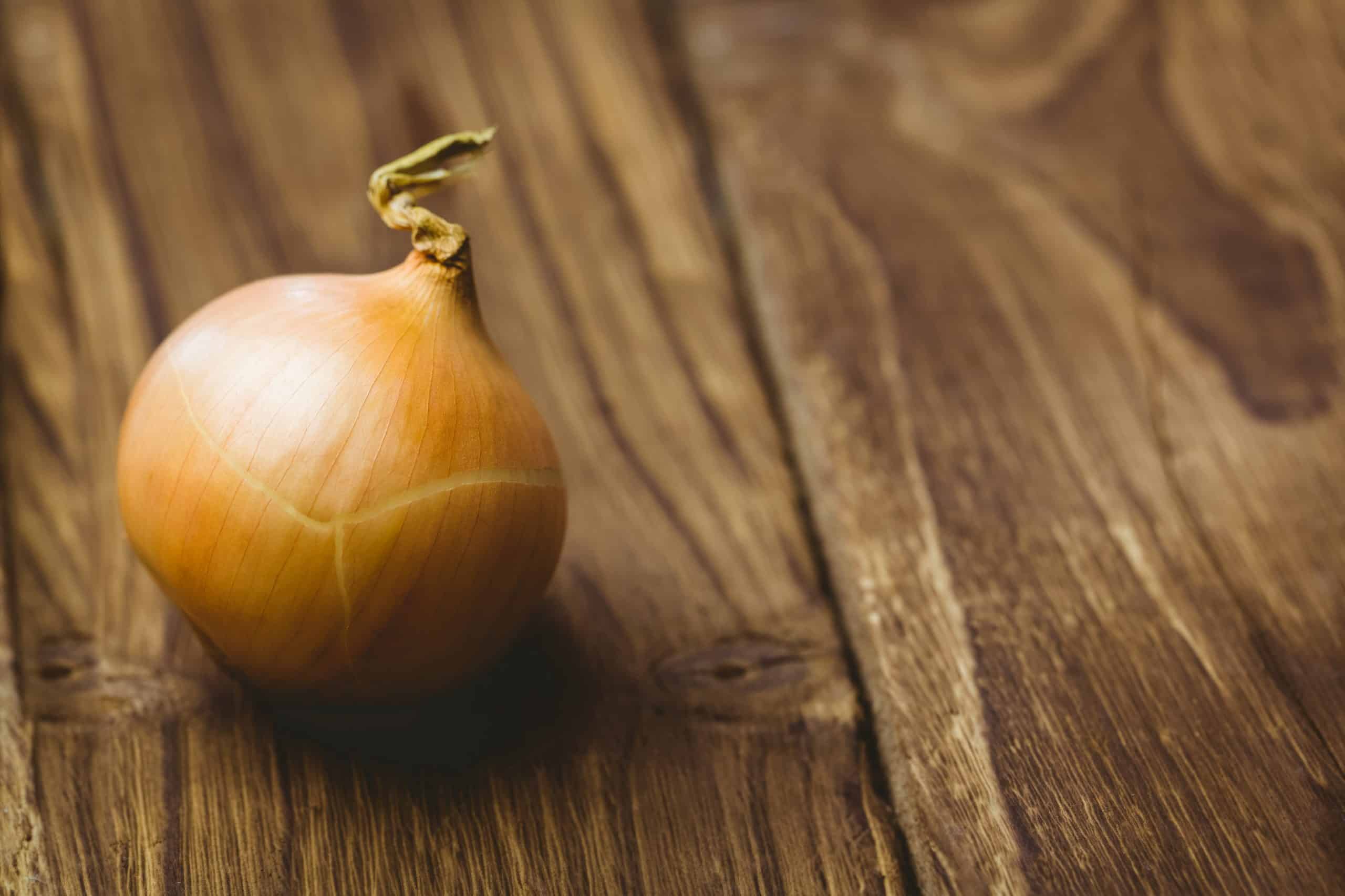 Fresh onion on wooden background