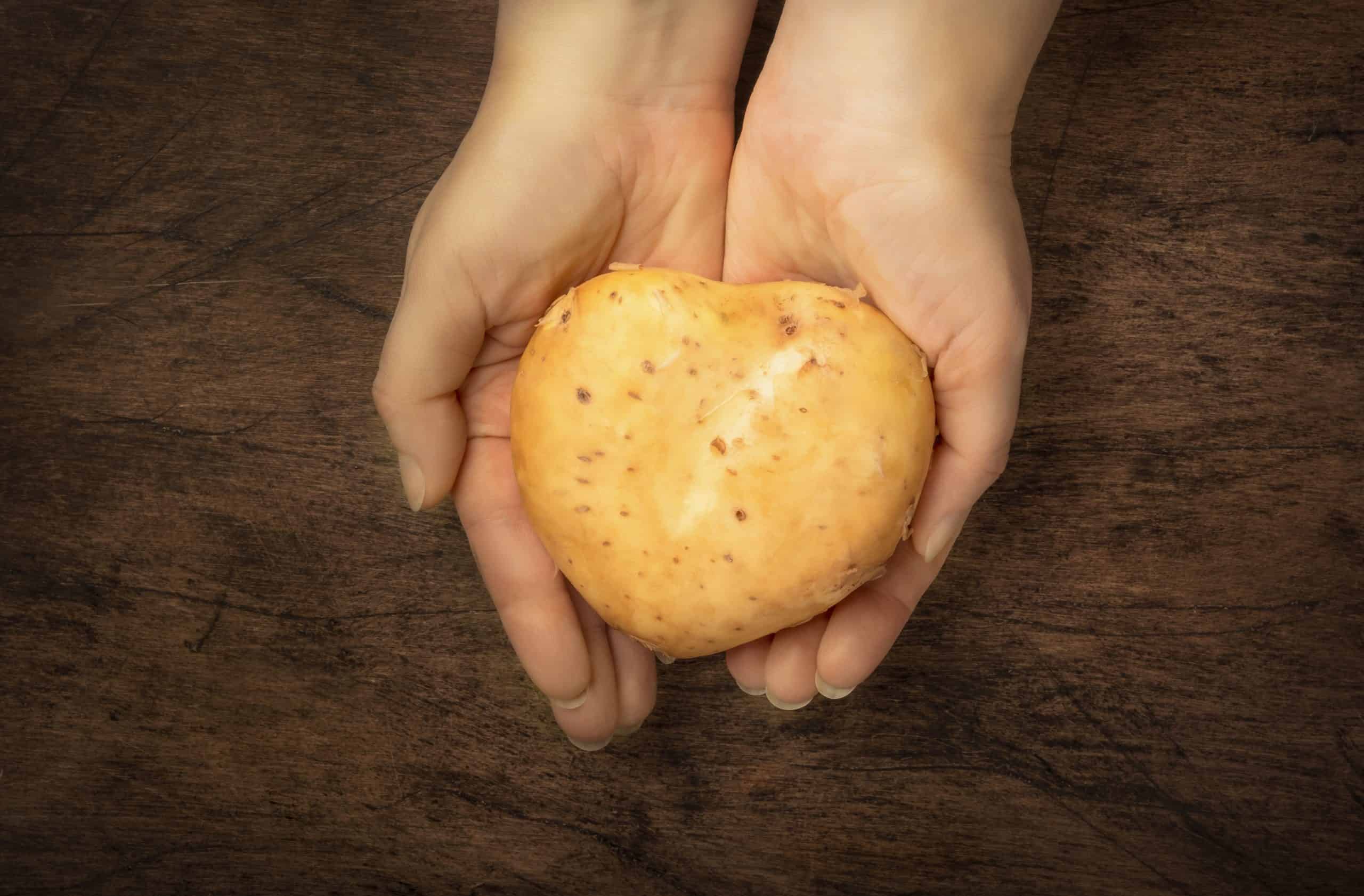 Heart shaped potatoes in female hands on a wooden background, top view. 