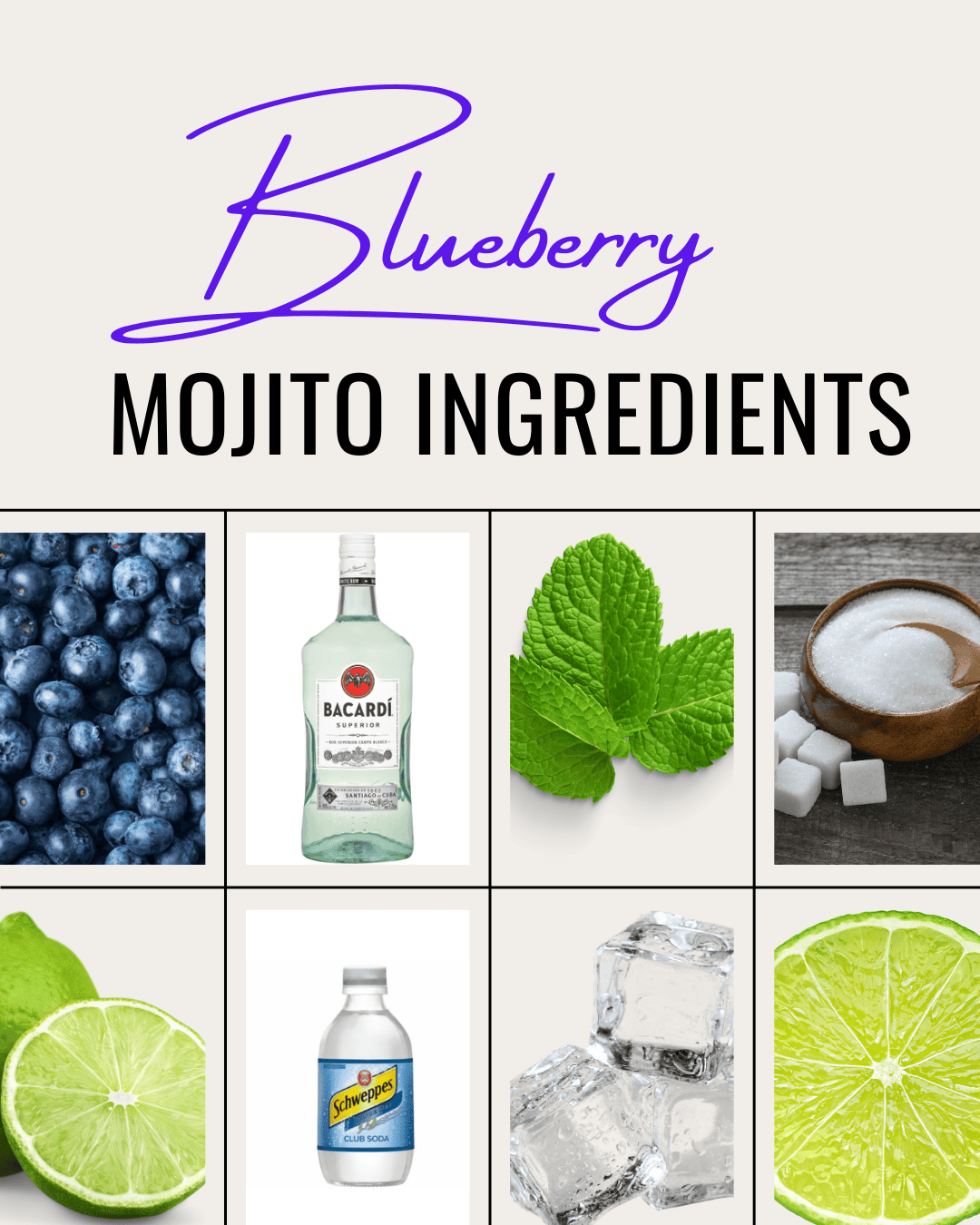 Ingredients including rum, blueberries, mint, sugar, and club soda. 