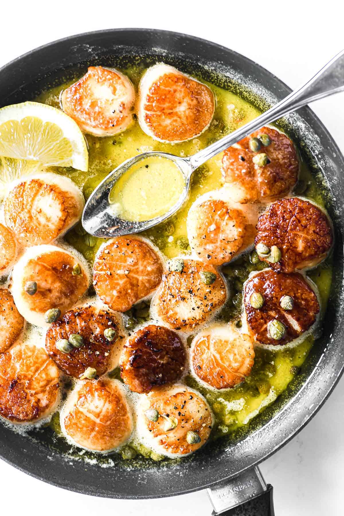 Seared scallops in lemon butter, in a pan.