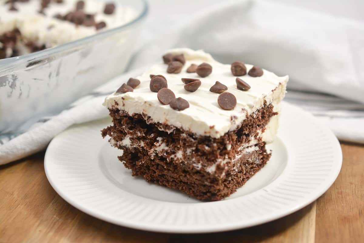 Three chocolate muffins on a white plate.