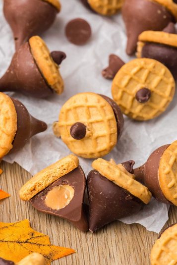 Close up shot of Kisses Acorn Treats.