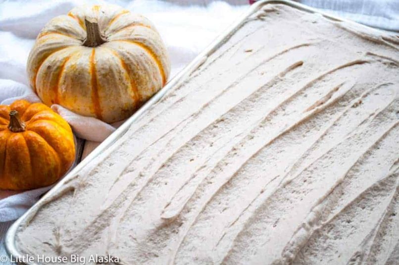 Pumpkin ice cream in a pan surrounded by pumpkins.