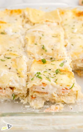 Close up shot of Seafood Lasagna.