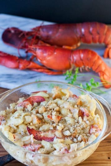 Casserole with lobster mac and cheese and 2 whole lobsters in background.