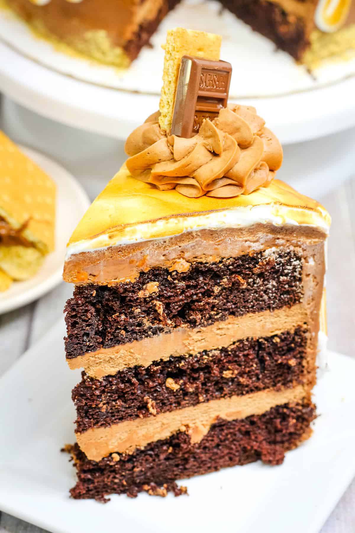 a slice of chocolate Smores cake with chocolate icing and a toasted meringue topping.