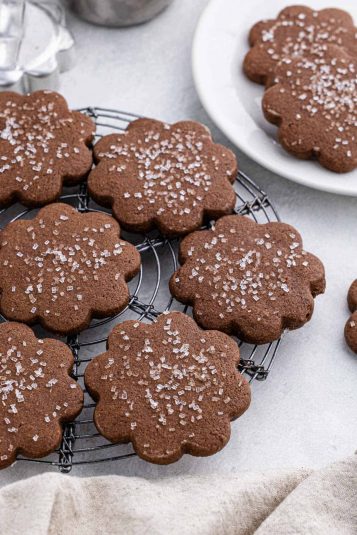 Chocolate sugar cookies ready on a white background.