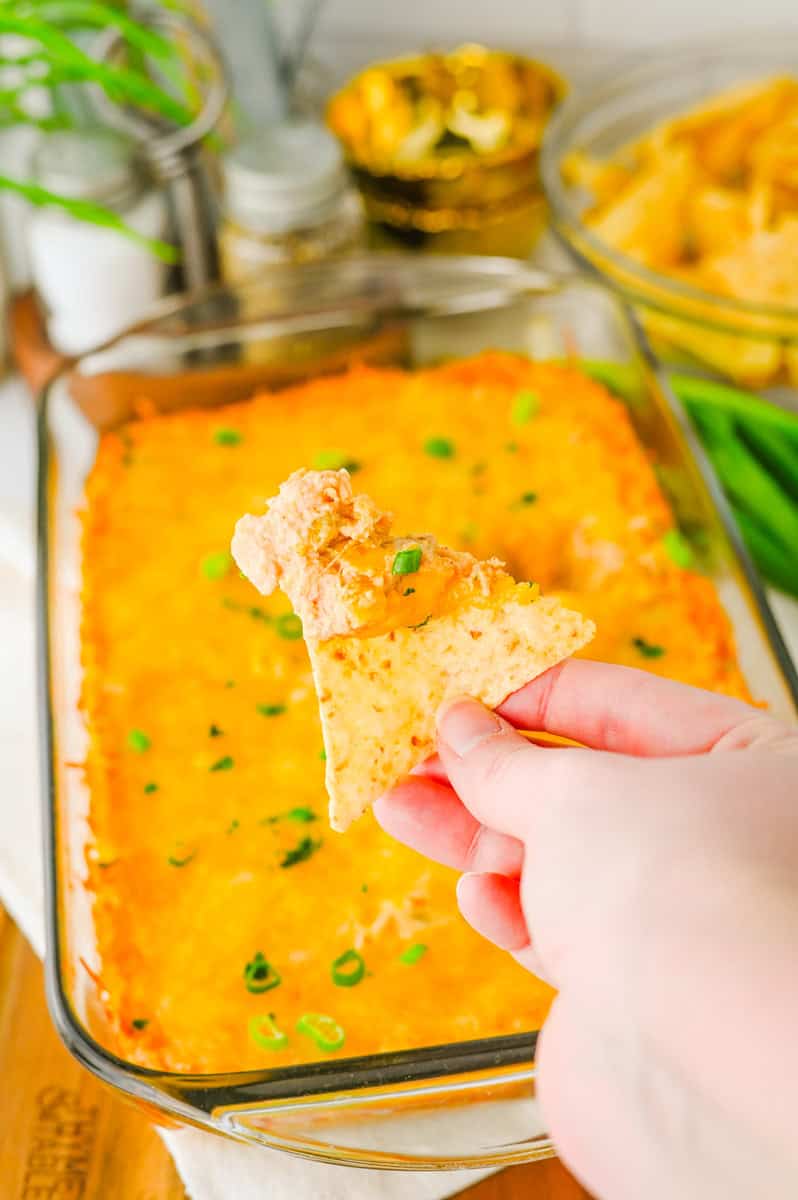 a tortilla chip with cheesy bean dip on it with a 9x13 pan of dip in the background.