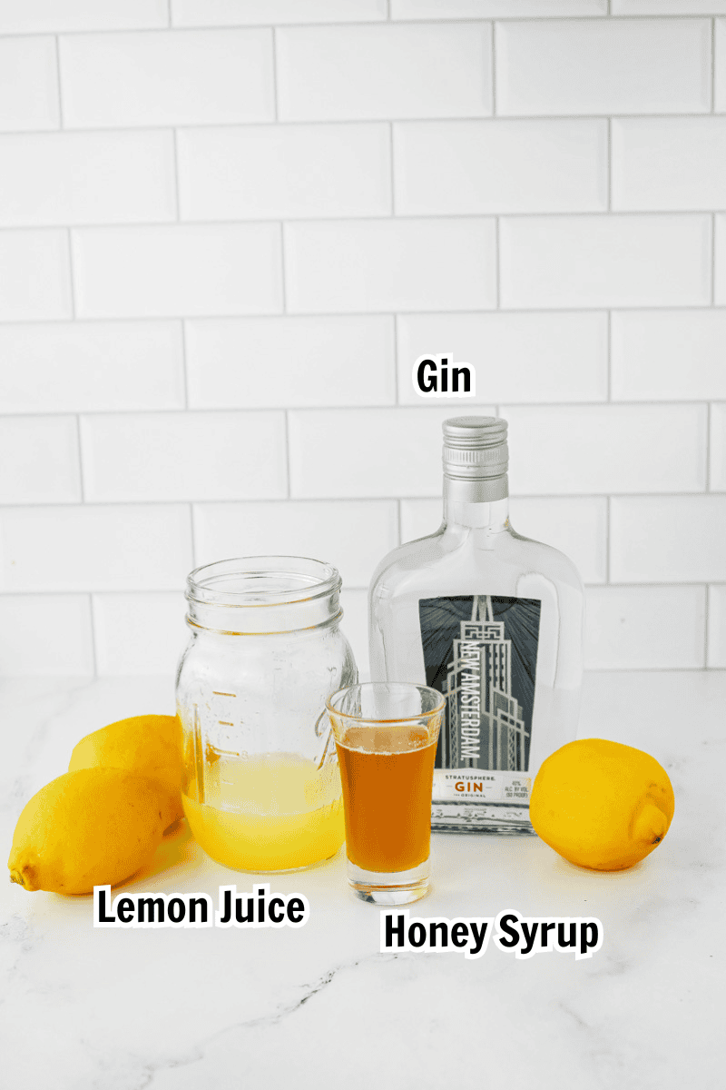 ingredients on a marble countertop including lemon juice, honey syrup, New Amsterdam Gin, and lemons.