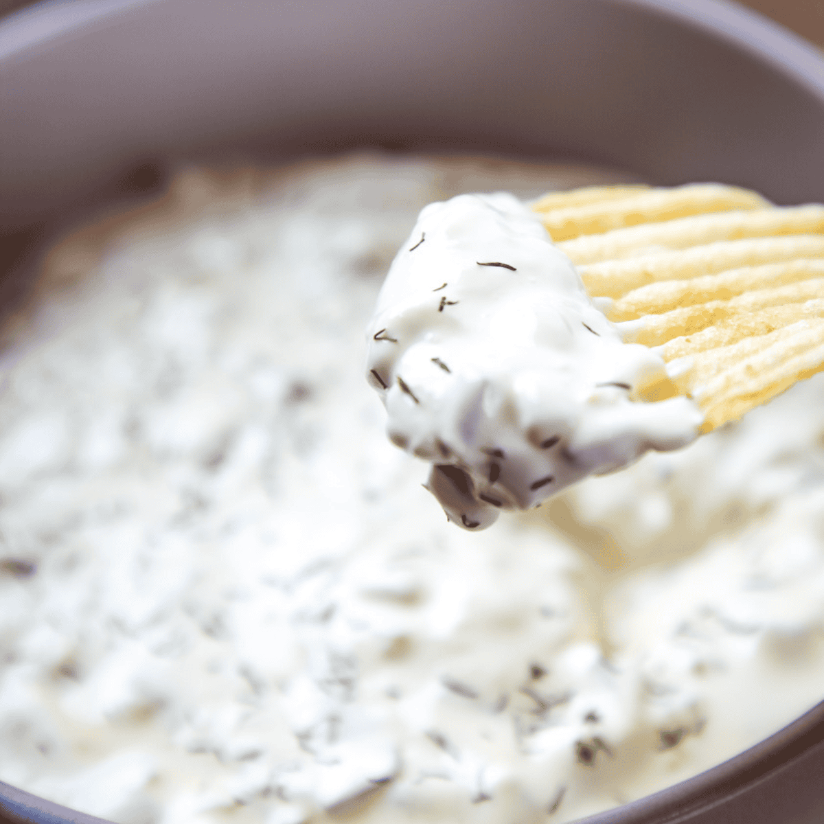 Dill Pickle Dip