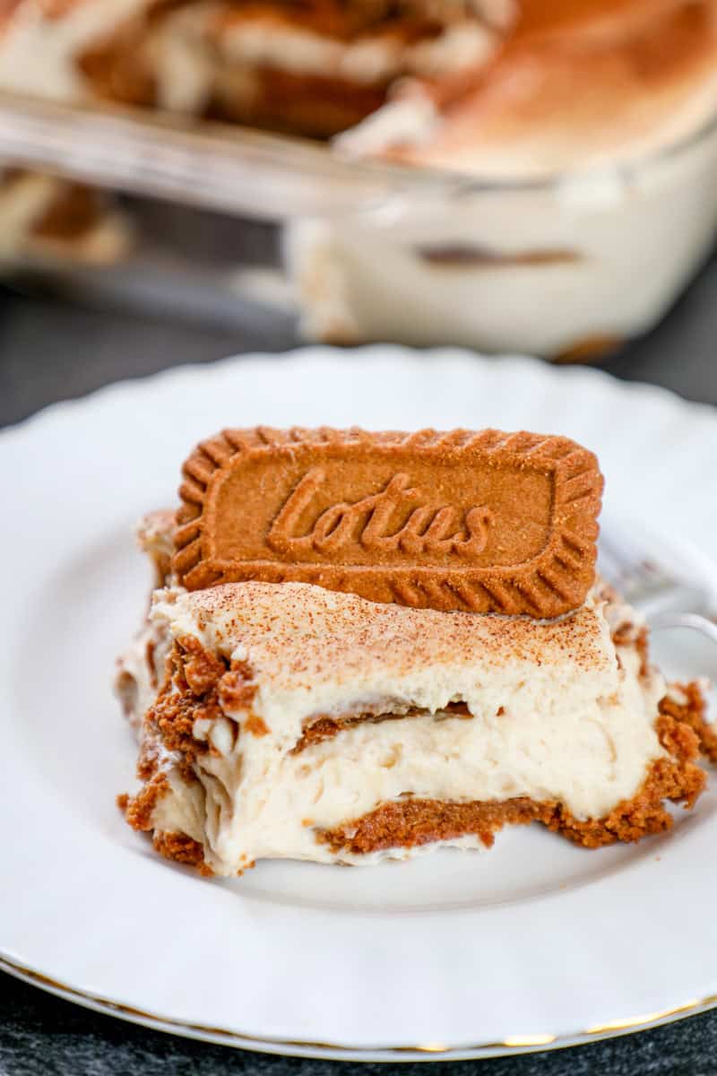 a 4 layer cookie butter tiramisu dessert dusted with cocoa powder.