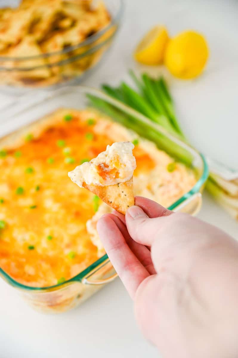 a pita chip with hot shrimp and crab dip on it.